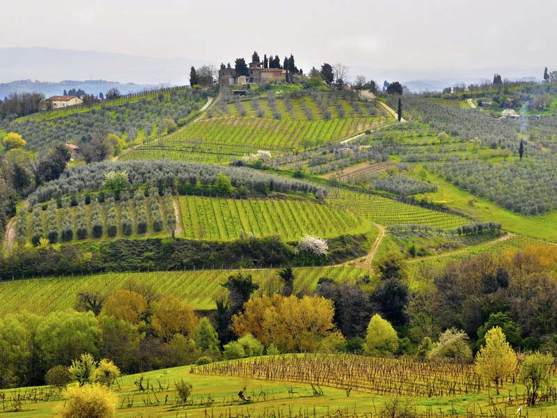 italy chianti